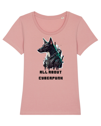 ALL ABOUT CYBERPUNK - V5 Canyon Pink