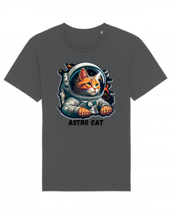 ASTRO CAT - V2 Anthracite