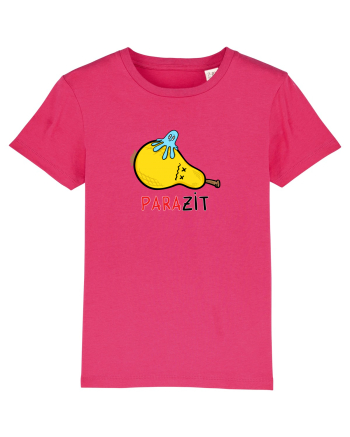 paraZIT Raspberry