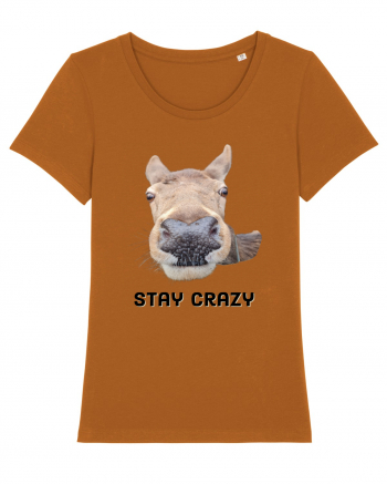 Stay crazy Roasted Orange