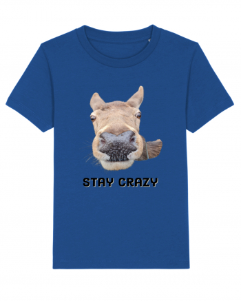 Stay crazy Majorelle Blue