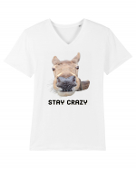 Stay crazy Tricou mânecă scurtă guler V Bărbat Presenter