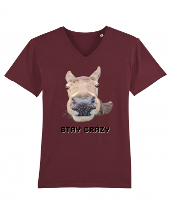 Stay crazy Burgundy