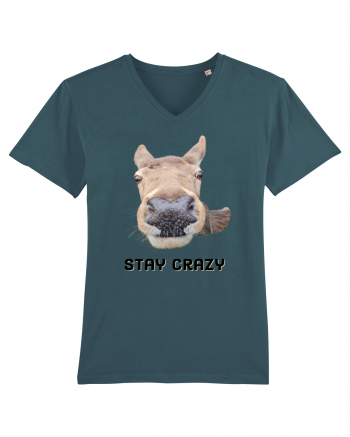 Stay crazy Stargazer