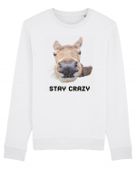 Stay crazy Bluză mânecă lungă Unisex Rise