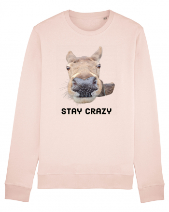 Stay crazy Candy Pink