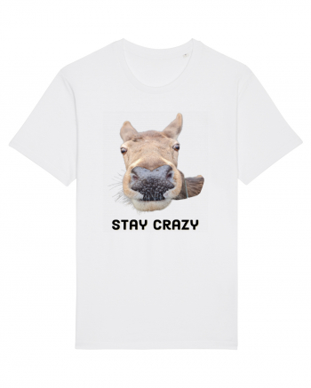 Stay crazy White