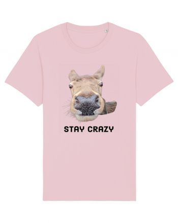 Stay crazy Cotton Pink