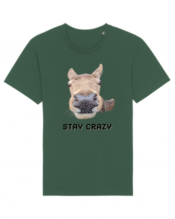 Stay crazy Bottle Green