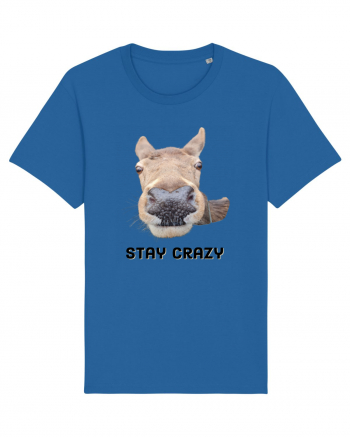 Stay crazy Royal Blue