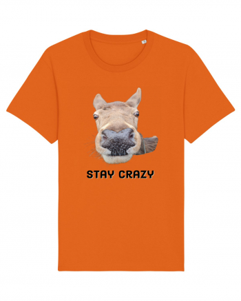 Stay crazy Bright Orange