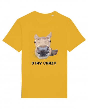 Stay crazy Spectra Yellow