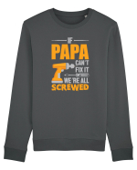If Papa Can't Fix It We're All Screwed Bluză mânecă lungă Unisex Rise