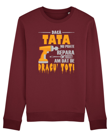 Daca tata nu poate repara am dat de dracu' toti Burgundy