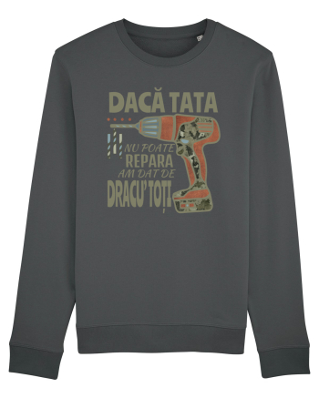 Daca tata nu poate repara am dat de dracu' toti Anthracite