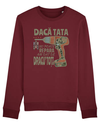 Daca tata nu poate repara am dat de dracu' toti Burgundy