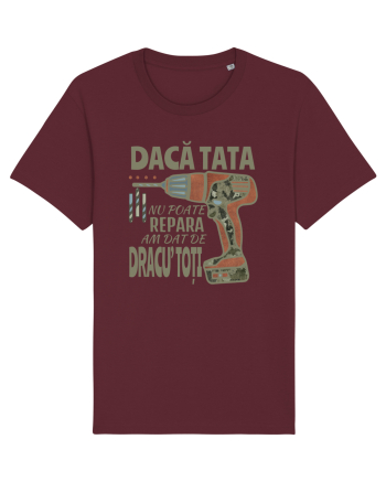 Daca tata nu poate repara am dat de dracu' toti Burgundy