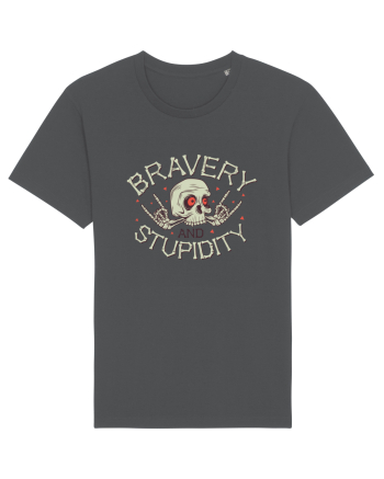 Bravery And Stupidity Anthracite