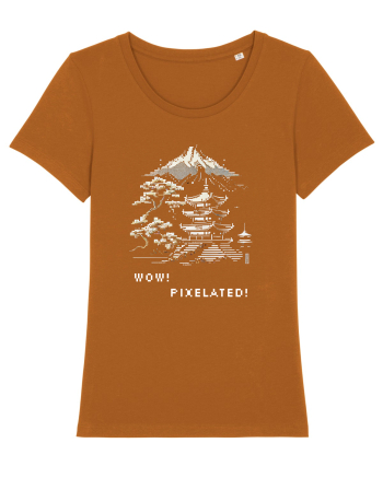 PIXELATED - V2 Roasted Orange