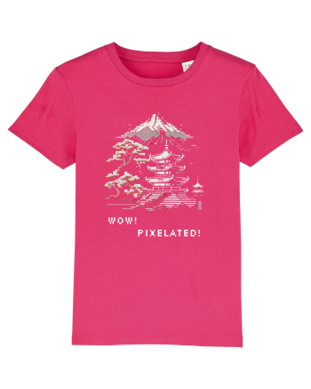 PIXELATED - V2 Raspberry