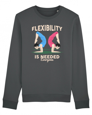 Flexibility is Needed Anthracite