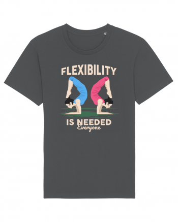 Flexibility is Needed Anthracite