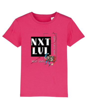 NXT LVL Raspberry