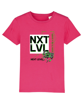 NXT LVL Raspberry