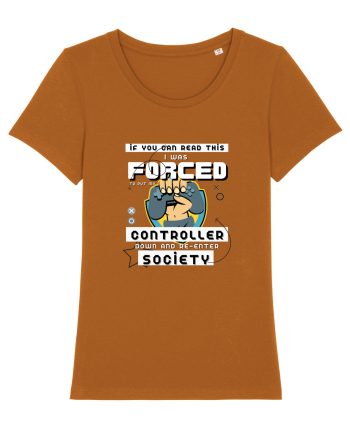 If You Can Read This I Was Forced To Put My Controller Down And Re-enter S Roasted Orange