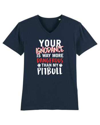 Dangerous Ignorance French Navy