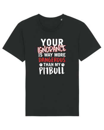 Dangerous Ignorance Black