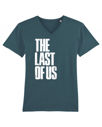 THE LAST OF US Stargazer