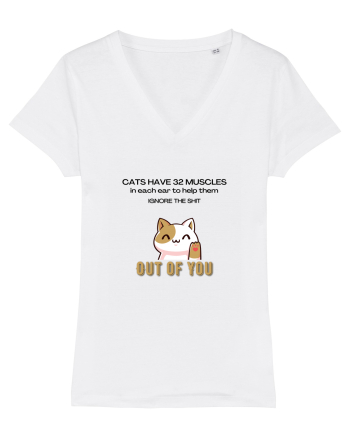 Cats Have 32 Muscles White