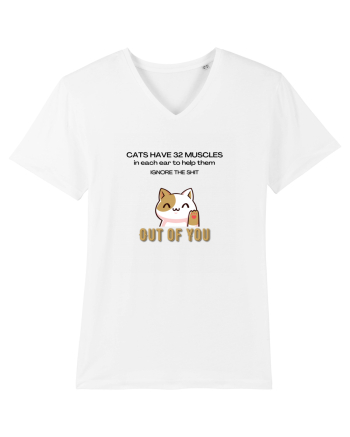 Cats Have 32 Muscles White