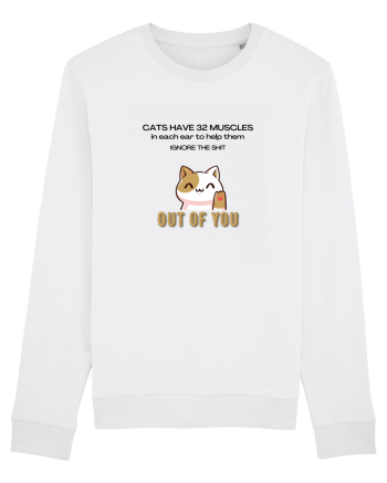 Cats Have 32 Muscles White