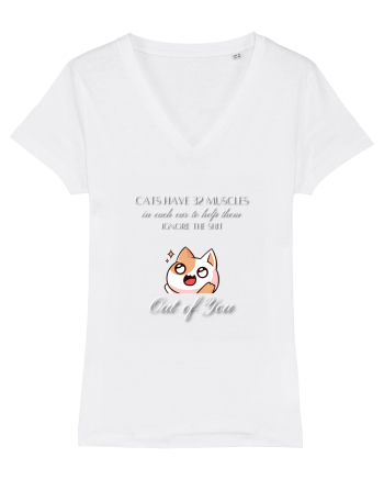 Cats Have 32 Muscles White