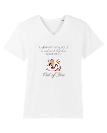 Cats Have 32 Muscles White