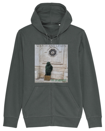 Silent observer Anthracite