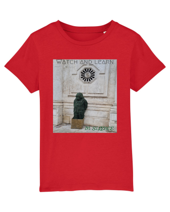 Silent observer Red