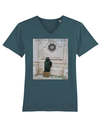 Silent observer Stargazer
