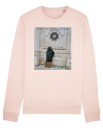 Silent observer Candy Pink