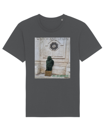 Silent observer Anthracite