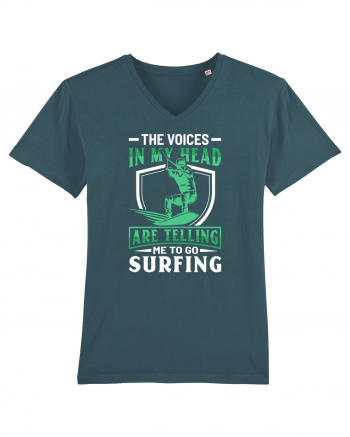 The voices in my head are telling me to go surfing Stargazer