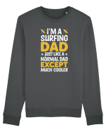 I'm a surfing dad just like a normal dad except much cooler Bluză mânecă lungă Unisex Rise