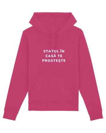 STATUL ÎN CASĂ TE PROSTEȘTE Raspberry