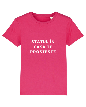 STATUL ÎN CASĂ TE PROSTEȘTE Raspberry