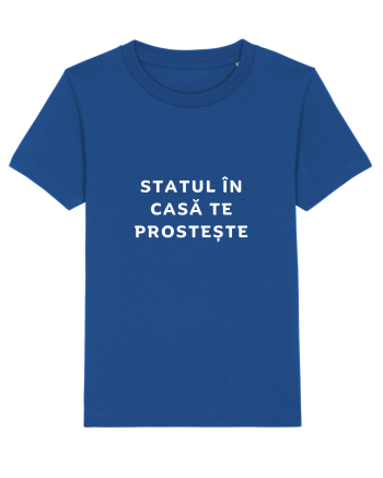 STATUL ÎN CASĂ TE PROSTEȘTE Majorelle Blue