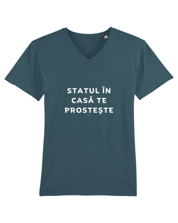 STATUL ÎN CASĂ TE PROSTEȘTE Stargazer