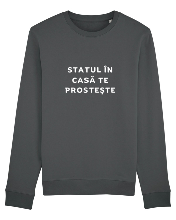 STATUL ÎN CASĂ TE PROSTEȘTE Anthracite
