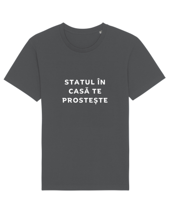 STATUL ÎN CASĂ TE PROSTEȘTE Anthracite